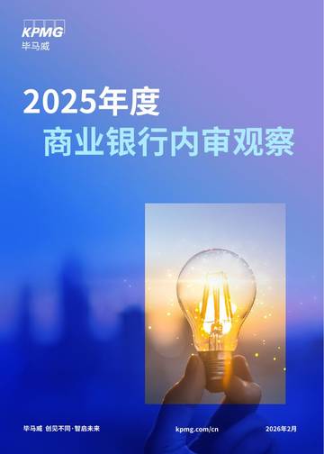 2025年度商业银行内审观察报告.pdf