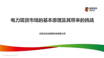 电力现货市场的基本原理及其带来的挑战.pdf