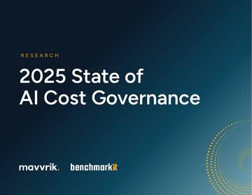 2025年人工智能成本治理状况报告（英文）.pdf