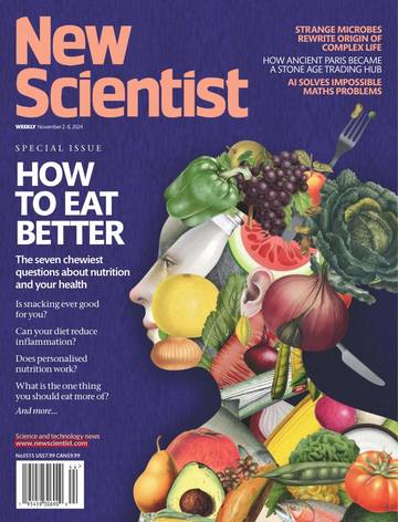 国际学校学生科普读物新科学人New Scientist-2024-11-02.pdf