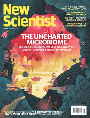 国际学校学生科普读物新科学人New Scientist-2024-09-28.pdf