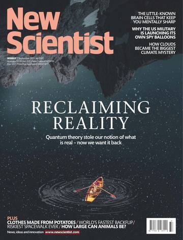 国际学校学生科普读物新科学人New Scientist-2024-09-07.pdf