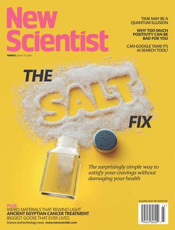 国际学校学生科普读物新科学人New Scientist-2024-06-08.pdf