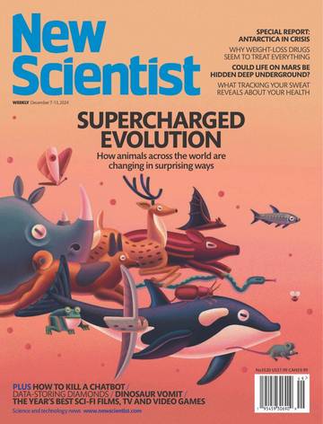 国际学校学生科普读物新科学人New Scientist-2024-12-07.pdf