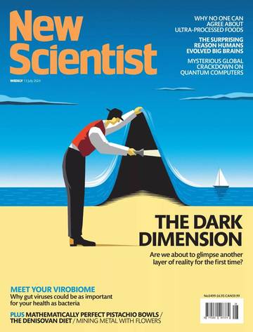 国际学校学生科普读物新科学人New Scientist-2024-07-13.pdf