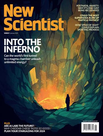 国际学校学生科普读物新科学人New Scientist 2024-01-06.pdf
