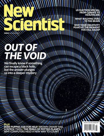 国际学校学生科普读物新科学人New Scientist-2024-10-26.pdf