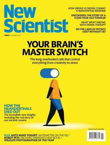 国际学校学生科普读物新科学人New Scientist-2024-10-12.pdf