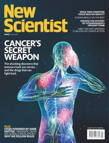 国际学校学生科普读物新科学人New Scientist-2025-06-14.pdf