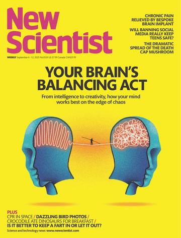 国际学校学生科普读物新科学人New Scientist-2025-09-06.pdf