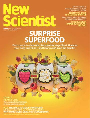 国际学校学生科普读物新科学人New Scientist-2025-04-12.pdf