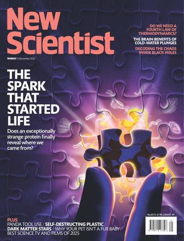 国际学校学生科普读物新科学人New Scientist International Edition - 6 December 2025.pdf