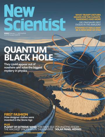 国际学校学生科普读物新科学人New Scientist-2025-02-01.pdf
