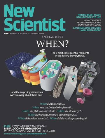 国际学校学生科普读物新科学人New Scientist-2025-02-22.pdf
