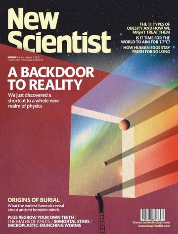 国际学校学生科普读物新科学人New Scientist-2025-07-26.pdf