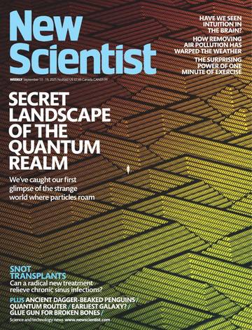 国际学校学生科普读物新科学人New Scientist-2025-09-13.pdf