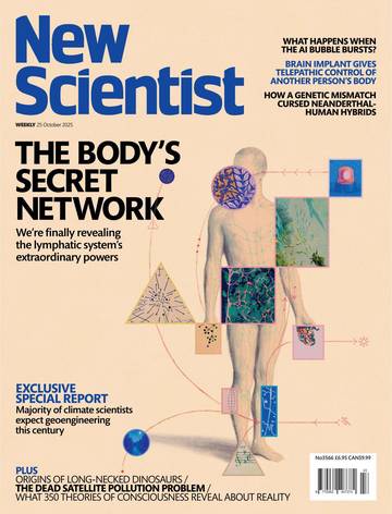 国际学校学生科普读物新科学人New Scientist International Edition - No. 3566 25 October 2025.pdf