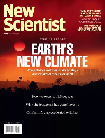 国际学校学生科普读物新科学人New Scientist-2025-01-18.pdf