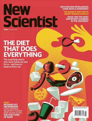 国际学校学生科普读物新科学人New Scientist - 18 October 2025.pdf