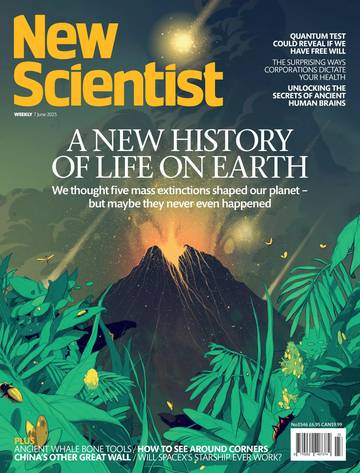 国际学校学生科普读物新科学人New Scientist-2025-06-07.pdf