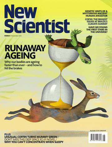 国际学校学生科普读物新科学人New Scientist International Edition - 8 November 2025.pdf