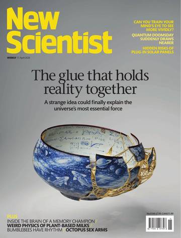 国际学校学生科普读物新科学人New Scientist Int 11.04.2026.pdf