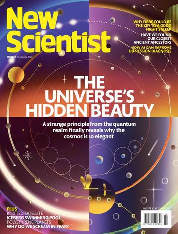国际学校学生科普读物新科学人New Scientist - 17 January 2026.pdf
