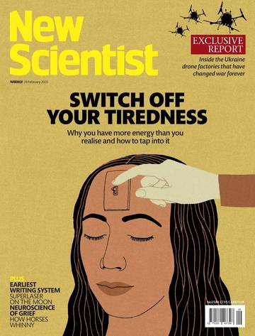 国际学校学生科普读物新科学人New Scientist - 28 February 2026.pdf