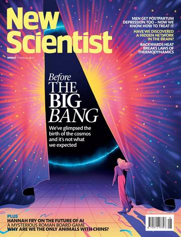 国际学校学生科普读物新科学人New Scientist - 21 February 2026.pdf
