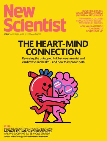 国际学校学生科普读物新科学人New Scientist USA - April 4, 2026.pdf