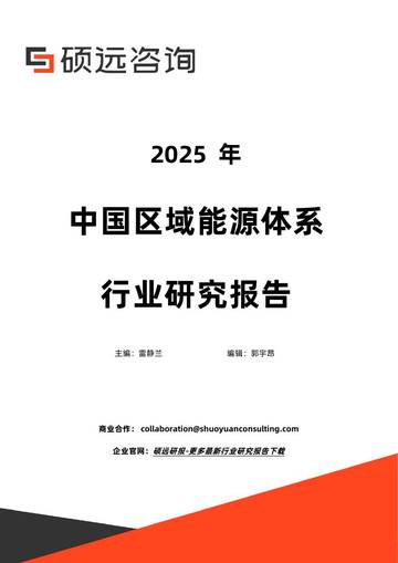 2025年中国区域能源体系行业研究报告.pdf