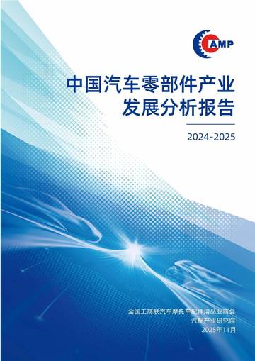 中国汽车零部件产业发展分析报告.pdf