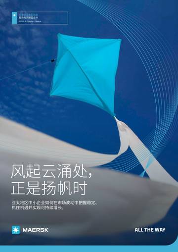 亚太地区中小企业如何在市场波动中把握稳定、 抓住机遇并实现可持续增长.pdf