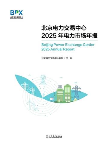 2025年电力市场年报.pdf