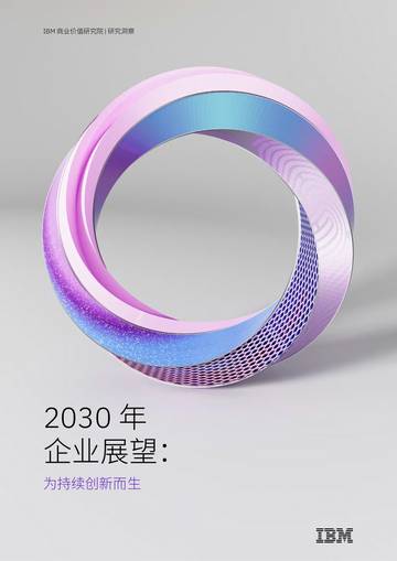 2030年企业展望：为持续创新而生.pdf