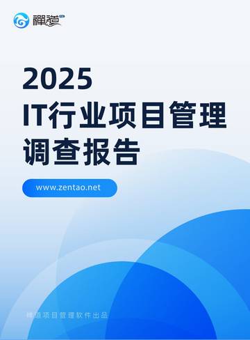 2025年IT行业项目管理调查报告.pdf