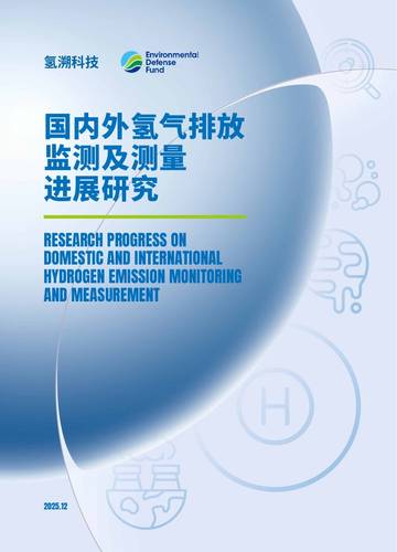 国内外氢气排放监测及测量进展研究.pdf