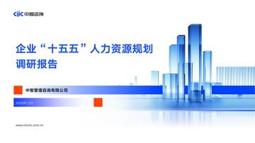 企业“十五五”人力资源规划调研报告.pdf