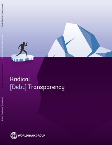 打破隐性债务：全球债务透明度新框架（英文）.pdf