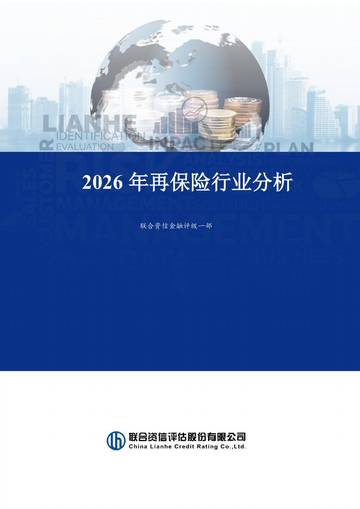 2026年再保险行业分析.pdf