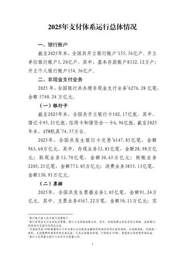 2025年支付体系运行总体情况.pdf