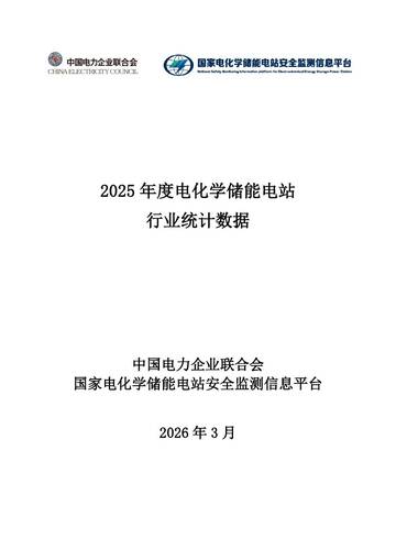 2025年度电化学储能电站行业统计数据.pdf