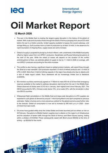 2026年3月石油市场报告.pdf