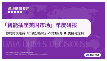 智能插座美国市场年度研报.pdf