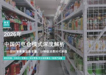 2026年中国闪电仓模式深度解析.pdf