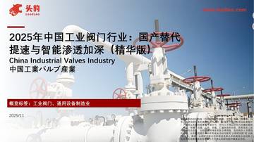 2025年中国工业阀门行业：国产替代提速与智能渗透加深（精华版）.pdf