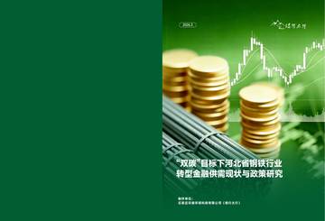 “双碳”目标下河北省钢铁行业：转型金融供需现状与政策研究.pdf