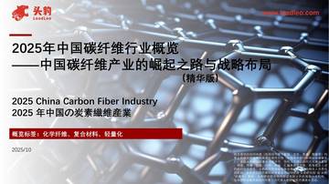 2025年中国碳纤维行业概览：中国碳纤维产业的崛起之路与战略布局（精华版）.pdf