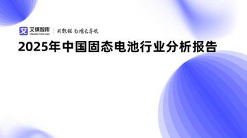 2025年中国固态电池行业分析报告.pdf