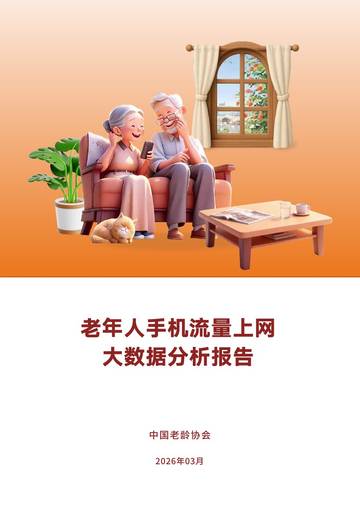 2025老年人手机流量上网大数据分析报告.pdf
